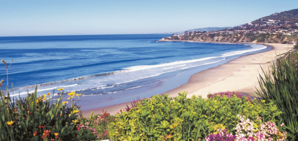 Dana Point Ocean Cliff 1